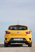 Seat Ibiza Cupra 2009 года